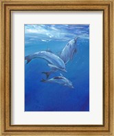 Under Sea Dolphins Fine Art Print