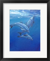 Under Sea Dolphins Fine Art Print