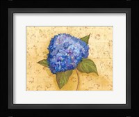 Hydrangea Love II Framed Print