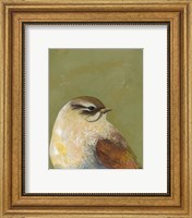 Bird Portrait I Fine Art Print