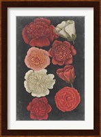Midnight Roses Fine Art Print
