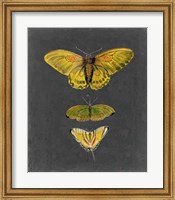 Butterflies on Slate I Fine Art Print