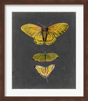 Butterflies on Slate I Fine Art Print
