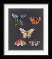 Butterflies on Slate II Framed Print