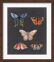 Butterflies on Slate II Fine Art Print