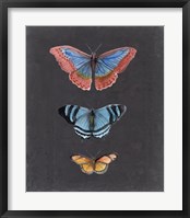 Butterflies on Slate III Fine Art Print