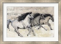 Horses in Motion II Fine Art Print