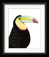 Watercolor Toucan Framed Print