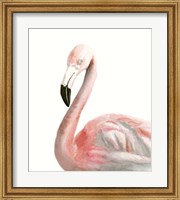 Watercolor Flamingo Fine Art Print