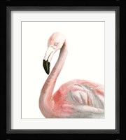 Watercolor Flamingo Framed Print