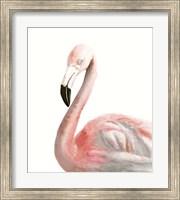 Watercolor Flamingo Fine Art Print