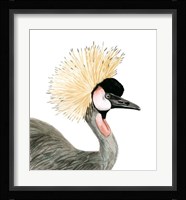 Watercolor Crested Crane Framed Print