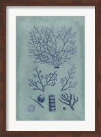 Indigo & Azure Seaweed III Fine Art Print