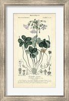 Botanique Study in Lavender I Fine Art Print