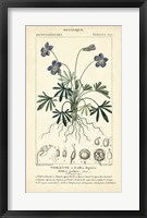 Botanique Study in Lavender IV Fine Art Print