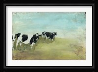 Country Drive Cows II Framed Print