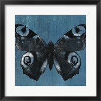 Chambray Butterflies I Fine Art Print