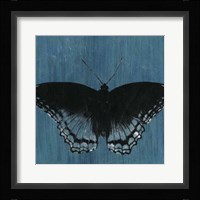 Chambray Butterflies II Framed Print