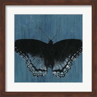 Chambray Butterflies II Fine Art Print