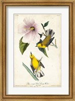 Yellow Swamp Warbler Fine Art Print