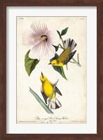 Yellow Swamp Warbler Fine Art Print