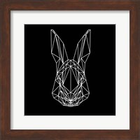 Rabbit on Black Fine Art Print
