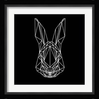Rabbit on Black Fine Art Print