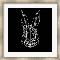 Rabbit on Black Fine Art Print
