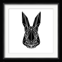 Black Rabbit Fine Art Print