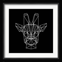 Giraffe on Black Fine Art Print