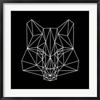Fox on  Black Fine Art Print