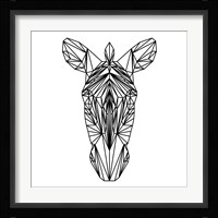 Zebra on White Fine Art Print