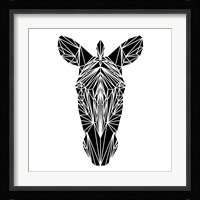 Black Zebra Fine Art Print