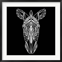 Zebra on Black Fine Art Print