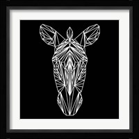 Zebra on Black Fine Art Print