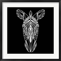 Zebra on Black Fine Art Print