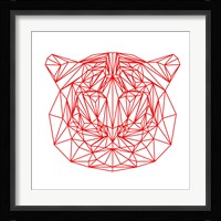 Tiger on White Fine Art Print