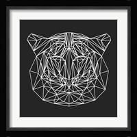 Tiger on Black Fine Art Print