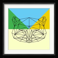 Party Raccoon Fine Art Print