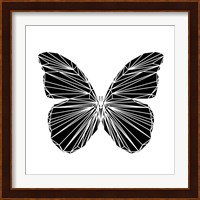 Black Butterfly Fine Art Print