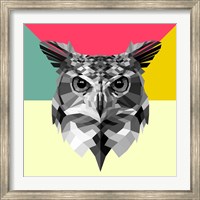 Owl Head Fine Art Print