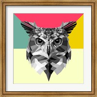 Owl Head Fine Art Print