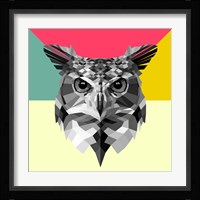Owl Head Fine Art Print
