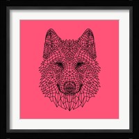 Pink Woolf Fine Art Print
