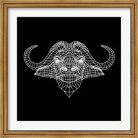 Black Buffalo Mesh Fine Art Print