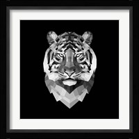 Tiger Head Fine Art Print