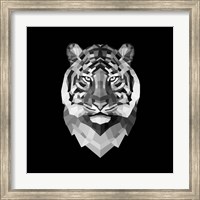 Tiger Head Fine Art Print