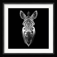 Black Zebra Head Fine Art Print