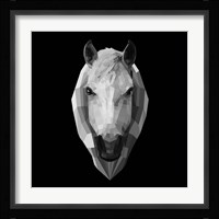 Horse Head Fine Art Print
