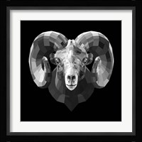 Ram Head Fine Art Print